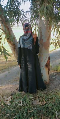 Gull Ahmad Profile Picture