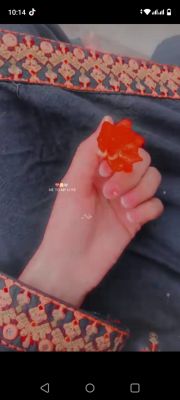 Safa Arif Profile Picture