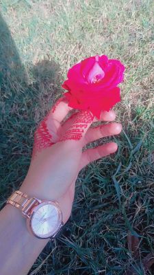 Hafsa Akbar Profile Picture