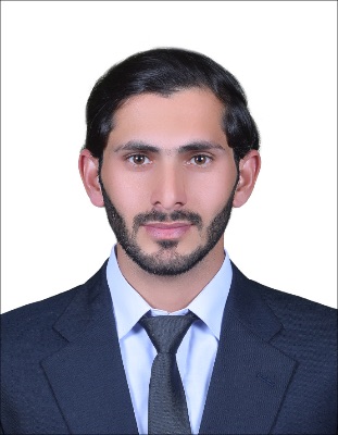 Ameer Sultan Profile Picture