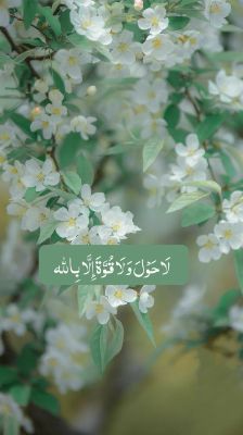 Hamna Mushtaq Profile Picture