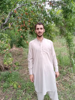 Atta ullah Profile Picture