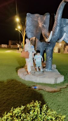 Rabia Zaheer Profile Picture