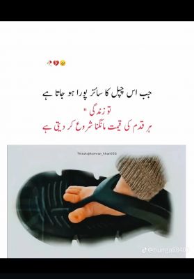zanib amjad Profile Picture