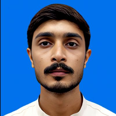Sheikh ahmer ullah Profile Picture