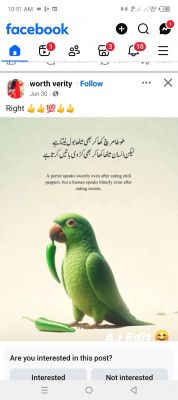 SABIRA Hassan Profile Picture