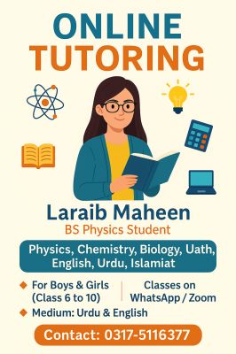 Laraib Maheen Profile Picture