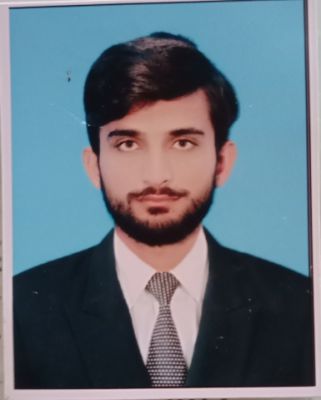 Zaib Ali Profile Picture