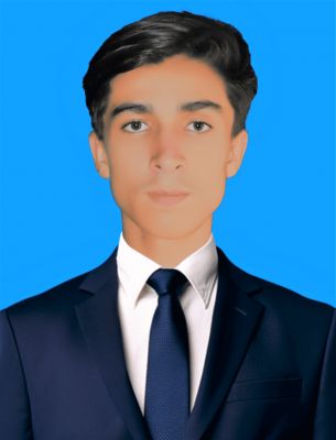 Mueez Ali Profile Picture